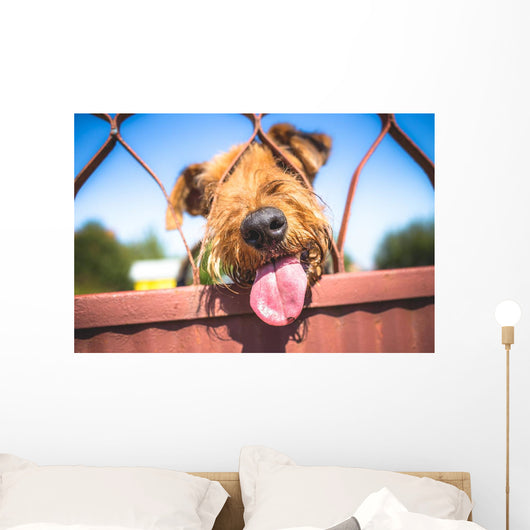Funny Airedale Terrier dog Wall Mural