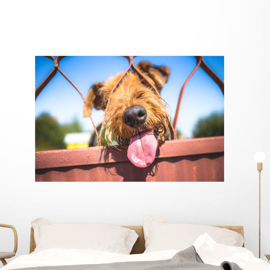 Funny Airedale Terrier dog Wall Mural