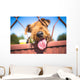 Funny Airedale Terrier dog Wall Mural