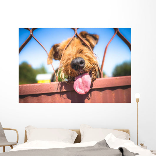 Funny Airedale Terrier dog Wall Mural