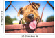 Funny Airedale Terrier dog Wall Mural