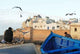 City Essaouira Wall Decal