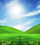 Sunny Meadow Wall Decal