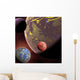crowded orbit Wall Mural