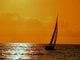 Sailing to Sunset Wall Decal