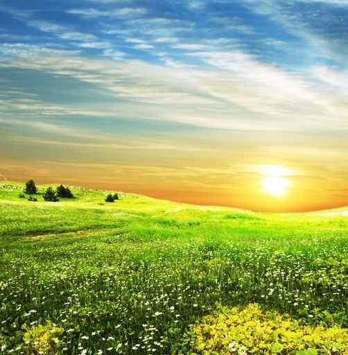 Field Sunset Wall Decal Design 1