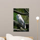 Schneeeule Wall Mural