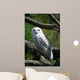 Schneeeule Wall Mural