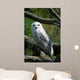 Schneeeule Wall Mural