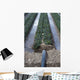 Irrigation System Wall Mural