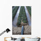 Irrigation System Wall Mural