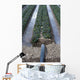 Irrigation System Wall Mural