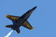 Blue Angels Wall Decal
