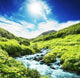 Creek Wall Decal