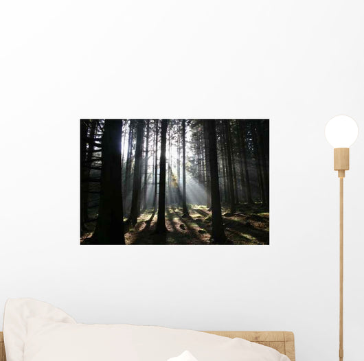 Waldschein Wall Decal