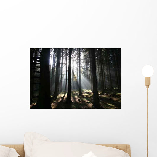 Waldschein Wall Decal