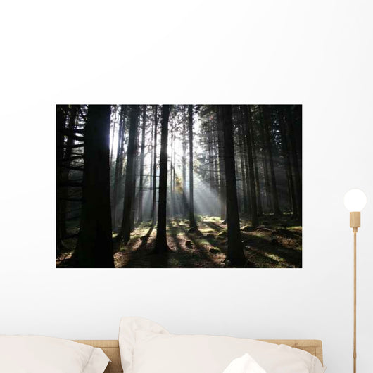 Waldschein Wall Decal