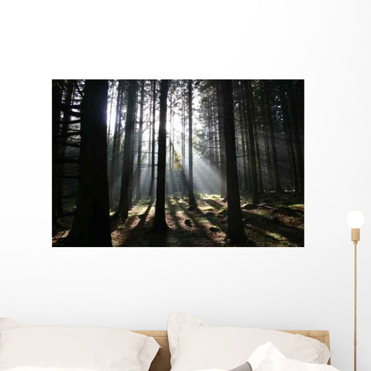 Waldschein Wall Decal