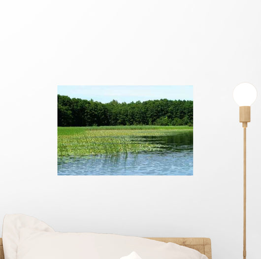 Reed Belt Wall Decal