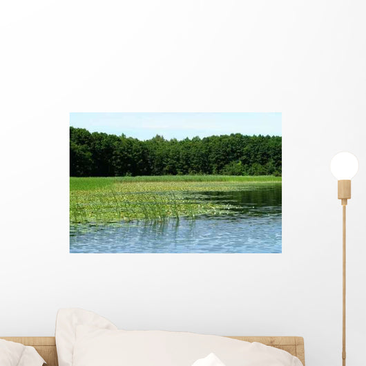 Reed Belt Wall Decal