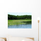 Reed Belt Wall Decal