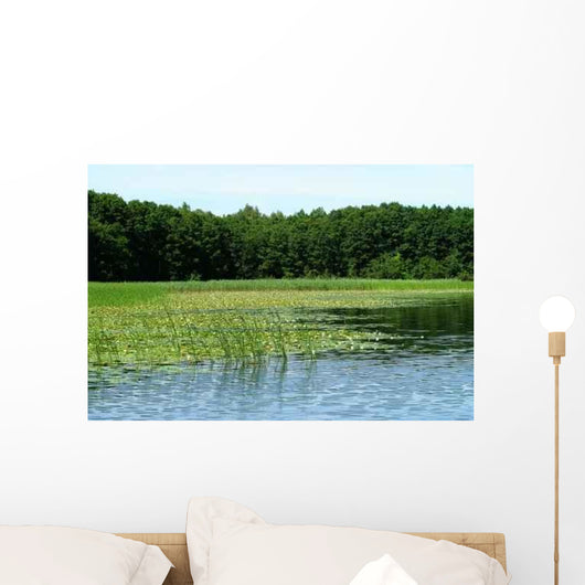 Reed Belt Wall Decal