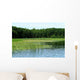 Reed Belt Wall Decal
