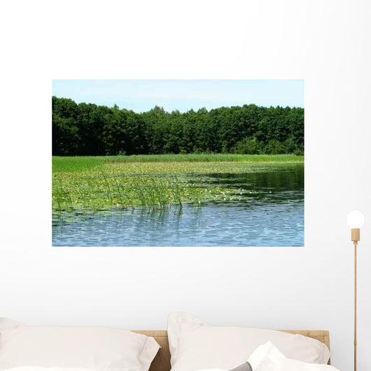 Reed Belt Wall Decal