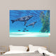 CRYSTAL CLEAR Wall Mural