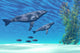 CRYSTAL CLEAR Wall Mural