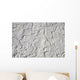 Whitewashed Wall Wall Mural