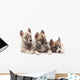 Three puppies. Wall Decal