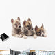 Three puppies. Wall Decal