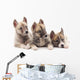 Three puppies. Wall Decal