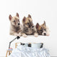 Three puppies. Wall Decal