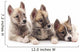 Three puppies. Wall Decal