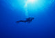 Woman Scuba Diver under Wall Decal Design 3