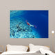 Woman Scuba Diver under Wall Decal Design 2