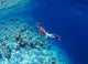 Woman Scuba Diver under Wall Decal Design 2