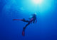 Woman Scuba Diver under Wall Decal Design 1