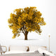 3D Autumnal Tree Wall Decal
