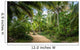 Path on a Palm Tree Forest - Tayrona Natural National Park, Colombia Wall Mural