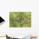 Goldfinch Wall Decal