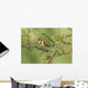 Goldfinch Wall Decal