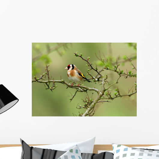 Goldfinch Wall Decal