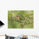 Goldfinch Wall Decal