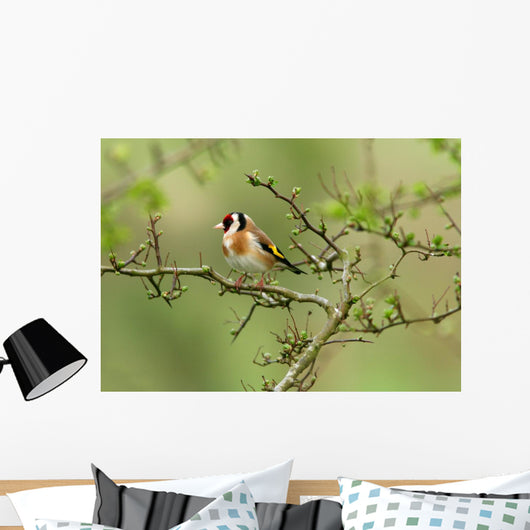 Goldfinch Wall Decal