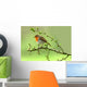 Robin Wall Decal