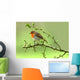 Robin Wall Decal