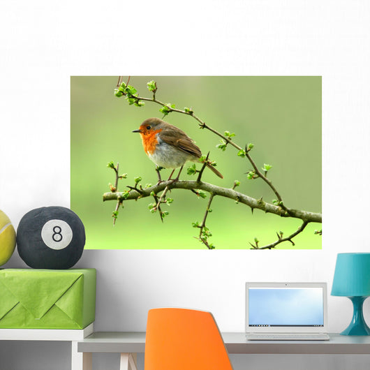 Robin Wall Decal